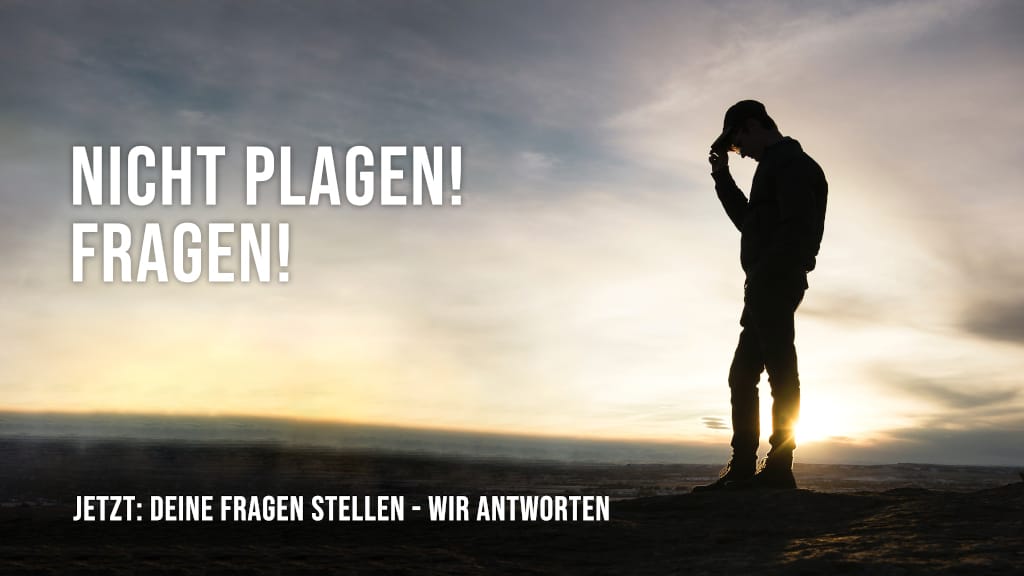 Nicht Plagen! Fragen! Teil 3 Image