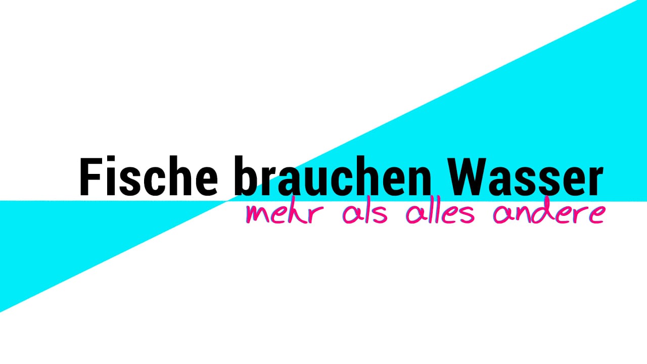 Fische brauchen Wasser